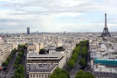 Картина \"Картина Champs Elysees, Arc de Triomphe (Елисейские Поля,  Триумфальная арка, копия Кристины Виверс) \" 50x60 AB151001 купить в Москве