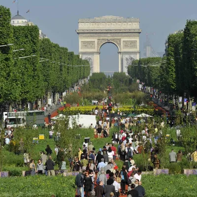 Елисейские поля в Париже превратят в «необыкновенный сад» – Газета.uz