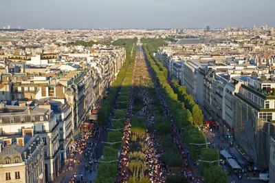 Картина Картина Champs Elysees, Arc de Triomphe (Елисейские Поля,  Триумфальная арка, копия Кристины Виверс) \" 60x120 AB191205 купить в Москве