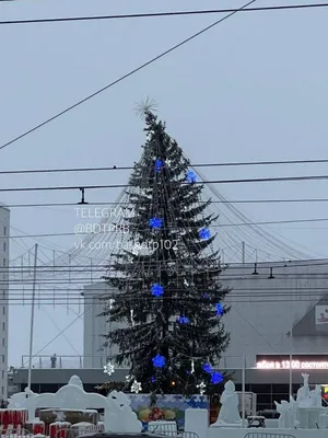 Новогодняя картинка, 5 д, яркая,утро…» — создано в Шедевруме