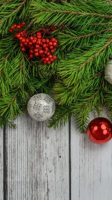 Концепция рождественской елки, карточка или обои телефона Иллюстрация штока  - иллюстрации насчитывающей украшение, иллюстрация: 103908039