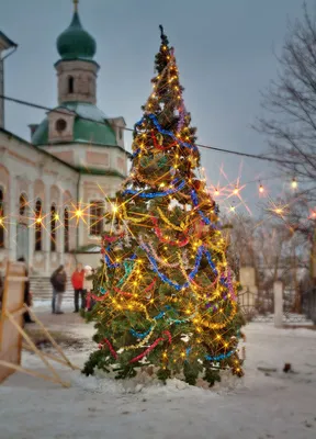 Обои елка, гирлянды, новый год, рождество, праздники картинки на рабочий  стол, фото скачать бесплатно