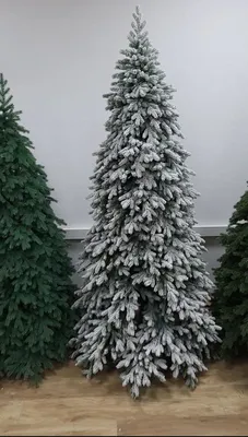 Картинки зима, елки, снег, красиво - обои 1600x900, картинка №158851