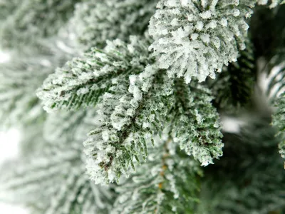 Ель Мольвено в снегу с вплетенной гирляндой 230 см недорогая пушистая елка  из комбинированных материалов