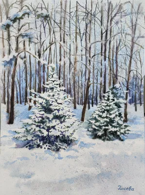 Ветка елки в снегу. Зимний пейзаж.Иголки крупным планом Photos | Adobe Stock