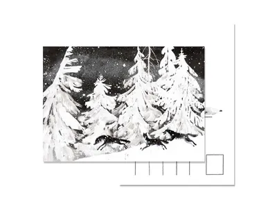 Зелёные ветви елки в снегу и хриппере Стоковое Фото - изображение  насчитывающей бело, хворостина: 159454554