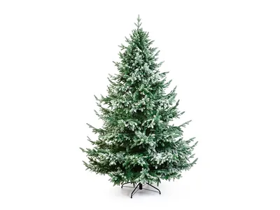 Настоящая природный фон : Ветви рождественской елки в снегу. Стоковое Фото  - изображение насчитывающей пуща, декабрь: 204544802