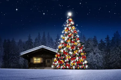 Обои на рабочий стол Наряженная новогодняя елка у деревянного дома на фоне  ночного заснеженного леса, обои для рабочего стола, скачать обои, обои  бесплатно