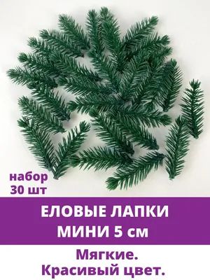 Еловая ветка, еловая лапка искусственная, декор зимний 11 см, набор 50 штук  – купить в Казани | «С Нежностью»