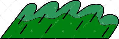 еловая ветка с молодыми иглами и молодыми еловыми шишками Стоковое  Изображение - изображение насчитывающей макрос, напольно: 224621851