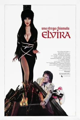 Эльвира - Повелительница Тьмы (1988) - Постеры — The Movie Database (TMDB)