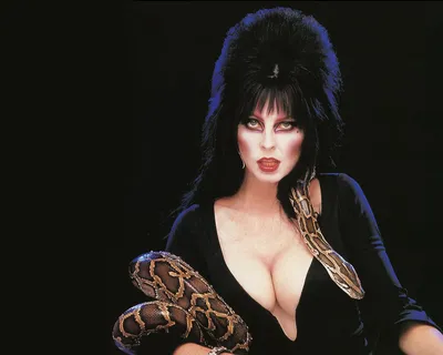 Эльвира: Повелительница тьмы» (Elvira: Mistress of the Dark, комедия,  ужасы, фэнтези, сша, 1988) | iTV.uz - ТВ, фильмы и сериалы в TAS-IX в  лучшем качестве.