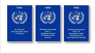 Права человека в Кыргызстане — Википедия