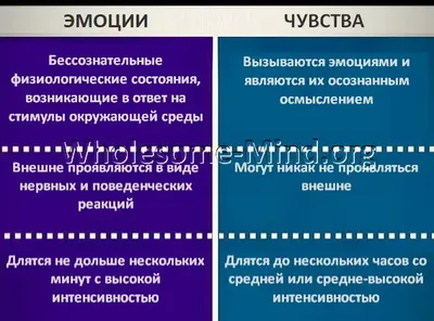 Таблица чувств и эмоций человека: анализ спектра чувств