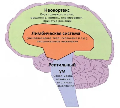 Настроение в психологии: что это такое, виды