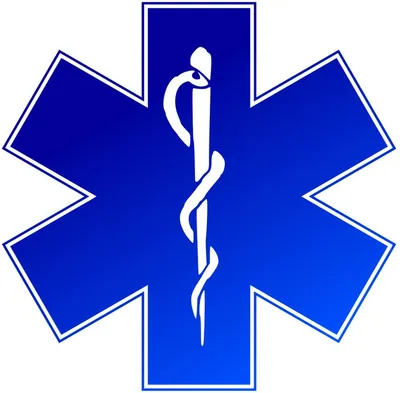 EMS Red Symbol Magnet | Magnet America