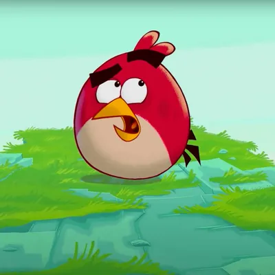 Rovio pulls violent pro-Israel ad shown to kids playing Angry Birds | Yle  News | Yle