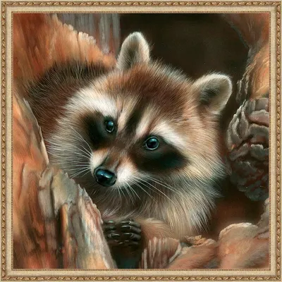 Шкодный енот / Naughty racoon 60х40 :: Behance