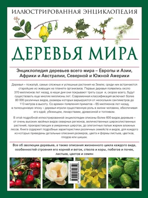 Читаем о деревьях: 5 книг о растениях для детей • Family.by