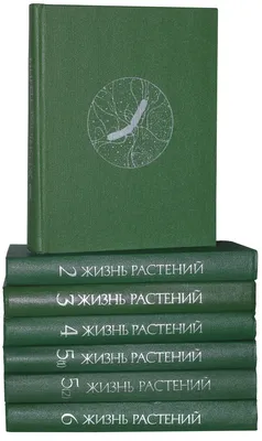 Дерево книги иллюстрация вектора. иллюстрации насчитывающей учить - 30587482