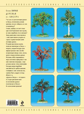 Книга «Деревья – памятники живой природы. Самые уникальные деревья России»  - Интернет-магазин Treemarket