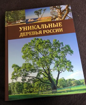 Книга \"Тайный язык деревьев\" Дэвис Дж - купить книгу в интернет-магазине  «Москва» ISBN: 9785389170858, 50022466