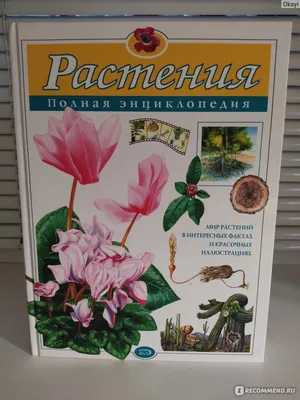 Иллюстрированная энциклопедия растений Новак Illustrated Encyclopedia Of  Plants | eBay