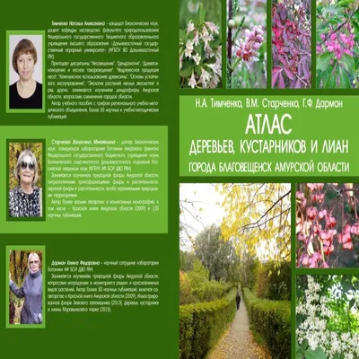Мой гербарий. Листья деревьев (Анна Васильева, Светлана Винникова) — купить  в МИФе