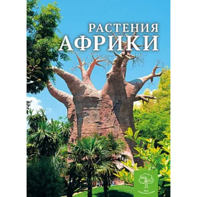 Иллюстрация 17 из 17 для Атлас декоративных деревьев и кустарников -  Шевырева, Коновалова | Лабиринт - книги. Источник: