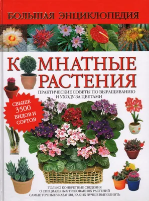 Книга \"Комнатные растения. Большая энциклопедия\" - купить книгу в  интернет-магазине «Москва» ISBN: 978-5-17-061523-0, 555796