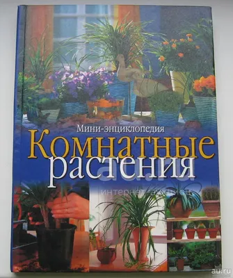 Комнатные растения карманный справочник. О. Петина, Ю. Попова - «Компактный  и удобный » | отзывы