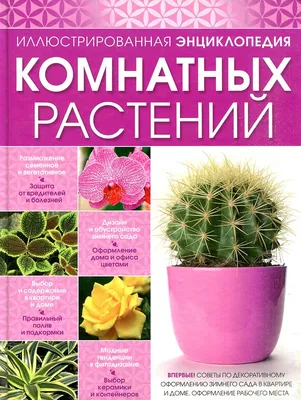 Иллюстрированная энциклопедия комнатных растений - купить с доставкой по  выгодным ценам в интернет-магазине OZON (716590494)