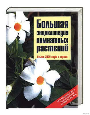 Энциклопедия комнатных растений | Цвет ник | Дзен