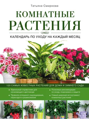 Как расставить домашние растения по комнатам - Горящая изба