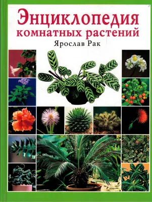 Книга \"Энциклопедия комнатных растений\" Ярослав Рак |ГрифБук