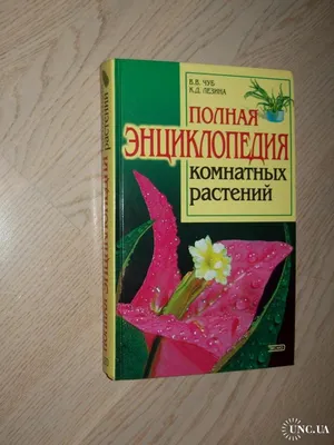 Большая энциклопедия комнатных растений + Комнатные растения. Купить в  Минске — Книги Ay.by. Лот 5033847328