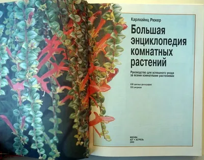 Чуб В.В., Лезина К.Д. Полная энциклопедия комнатных растений купить на |  Аукціон для колекціонерів UNC.UA UNC.UA