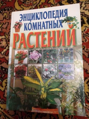 Альбом на кольцах «Полная энциклопедия цветов и комнатных растений от А до  Я Комнатные и садовые растения», размер альбома 27,5×31 см. Россия. Лот  №3793. Аукцион №185. – ANUMIS