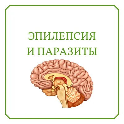 КУРС 1-Й МЕСЯЦ - Эпилепсия