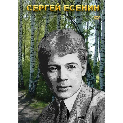 5 уроков пиара от Сергея Есенина. Как построить скандальный имидж |  Mediabitch