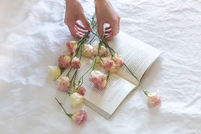 эстетические руки с розовыми цветами на белом фоне Стоковое Фото -  изображение насчитывающей флористы, женственно: 219267012