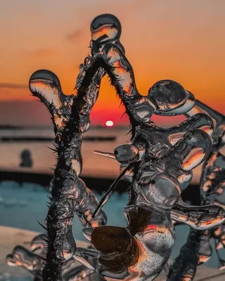 Лёд и пламя»: эстетичные фотографии Приморья набирают популярность в сети