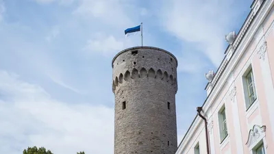В 2024 году лишь 4 из 12 государственных праздников Эстонии выпадают на  выходные дни | Эстония | ERR