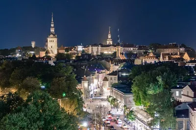 С днем рождения, Эстония! | Tallinn