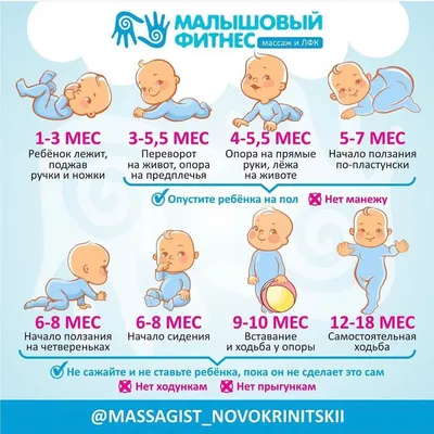 Этапы Развития Эмбриона Выделенные На Белом Фоне Ранние Стадии  Внутриутробного Развития Сроки Беременности С Медицинской Точки Зрения —  стоковые фотографии и другие картинки Эмбрион - iStock