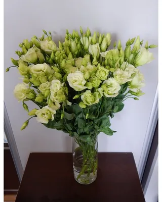 Синяя эустома: букет из 5 цветков в крафте по цене 3380 ₽ - купить в  RoseMarkt с доставкой по Санкт-Петербургу