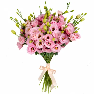 Эустома розовая - заказать и купить цветы с доставкой | Donpion
