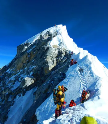 Высокие и цены: сколько стоит покорить Эверест | Forbes Life