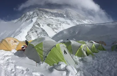 Кто живёт на горе Эверест на высоте 9 километров? | МИР НАУКИ: интересное  вокруг | Дзен