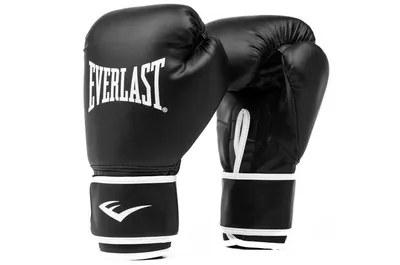 EVERLAST X REIGNING CHAMP | Reigning Champ